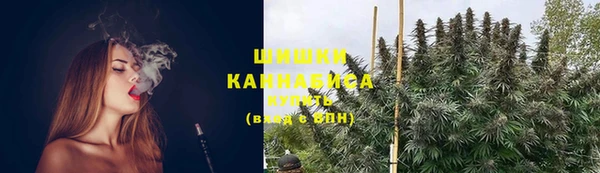 ГАЛЛЮЦИНОГЕННЫЕ ГРИБЫ Магас