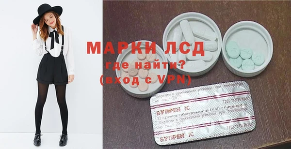 ГАЛЛЮЦИНОГЕННЫЕ ГРИБЫ Магас