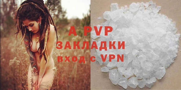 ГАЛЛЮЦИНОГЕННЫЕ ГРИБЫ Магас