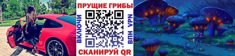 где можно купить   Макаров  Псилоцибиновые грибы Magic Shrooms 