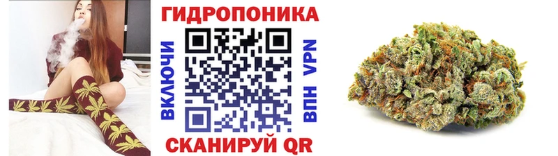Бошки Шишки Amnesia  Макаров 